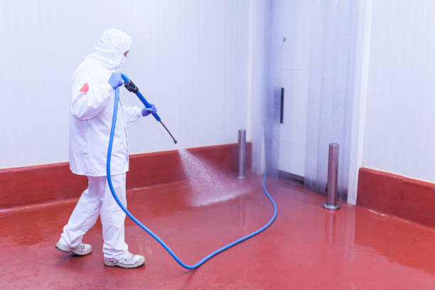 Best Patio and Deck Pressure Washing  in Miller, SD